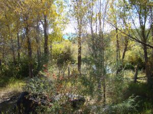 2012 Sept. Taos Trip Brothers (105)