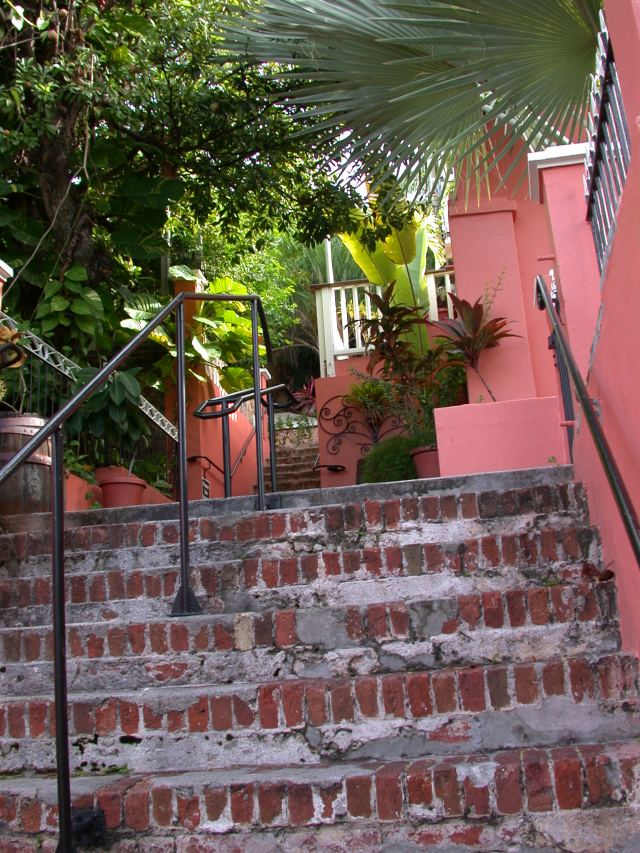 Old steps 1829